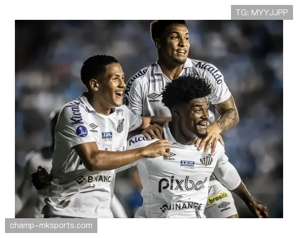 巴西俱乐部强势夺冠，2023年解放者杯荣耀加冕彰显状态回暖