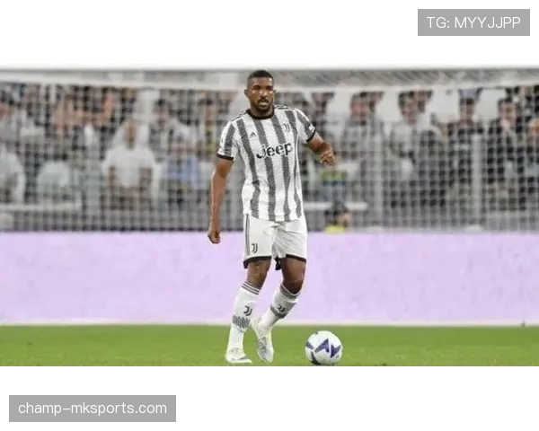 布雷默巴西后防新核